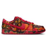 Nike SB Dunk Low Pro Skateboard Shoe - Gym Red/University Red-Multi Color