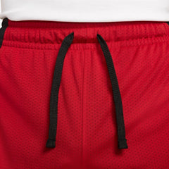 Men's Jordan Sport Dri-FIT Mesh Shorts